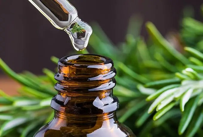 Rosemary Barij - Herbal Solution Oil (Original) Safwa Shop